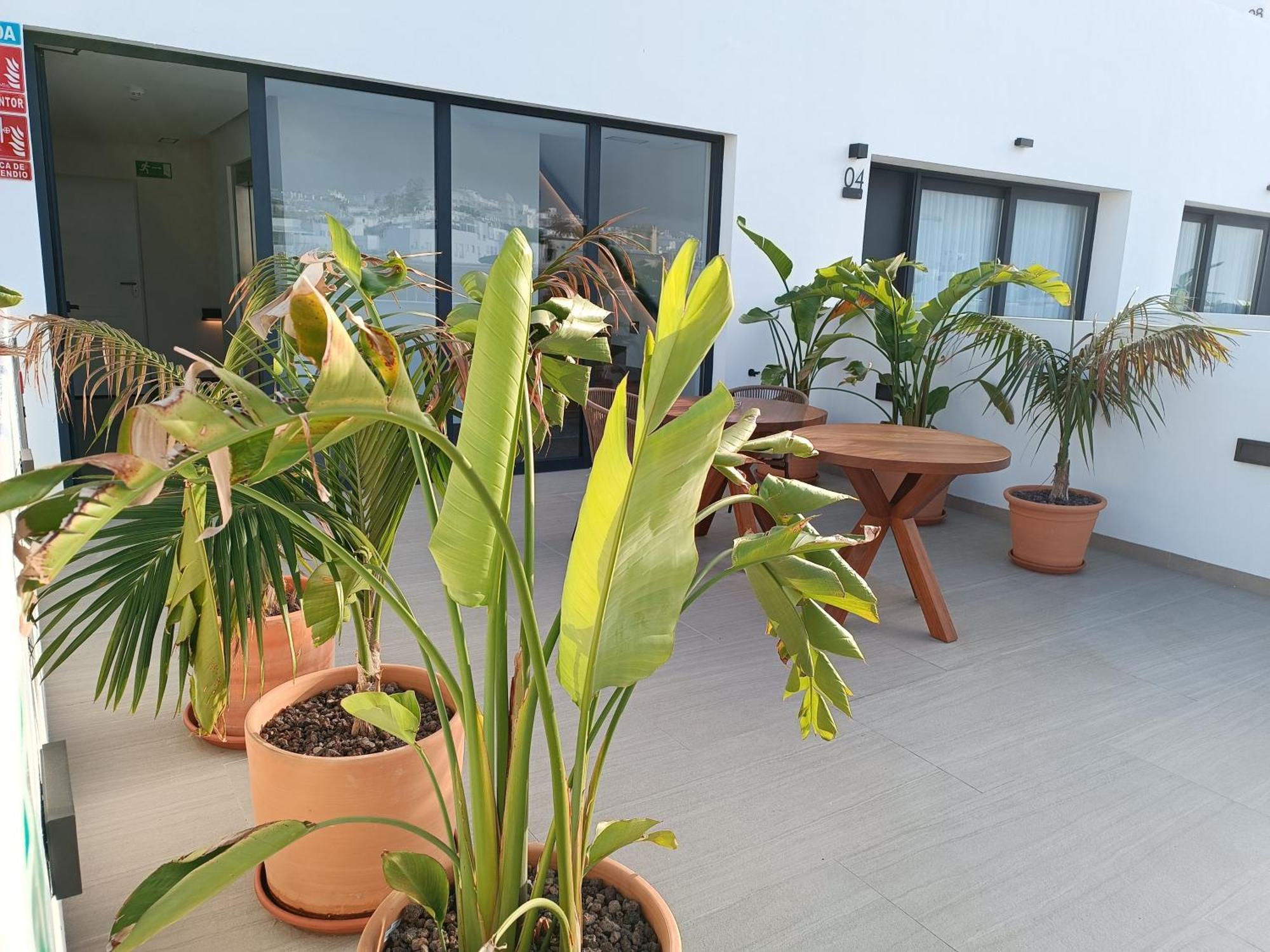 קוניל דה לה פרונטרה Hotel Apartamentos Hamus מראה חיצוני תמונה